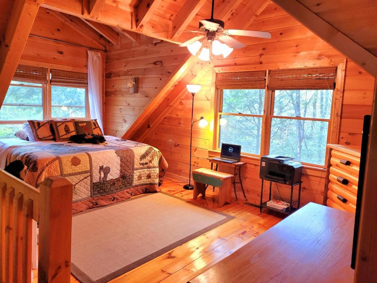 Luxury Cabin With Waterview And Privacy, Hiking Blue Ridge Buitenkant foto