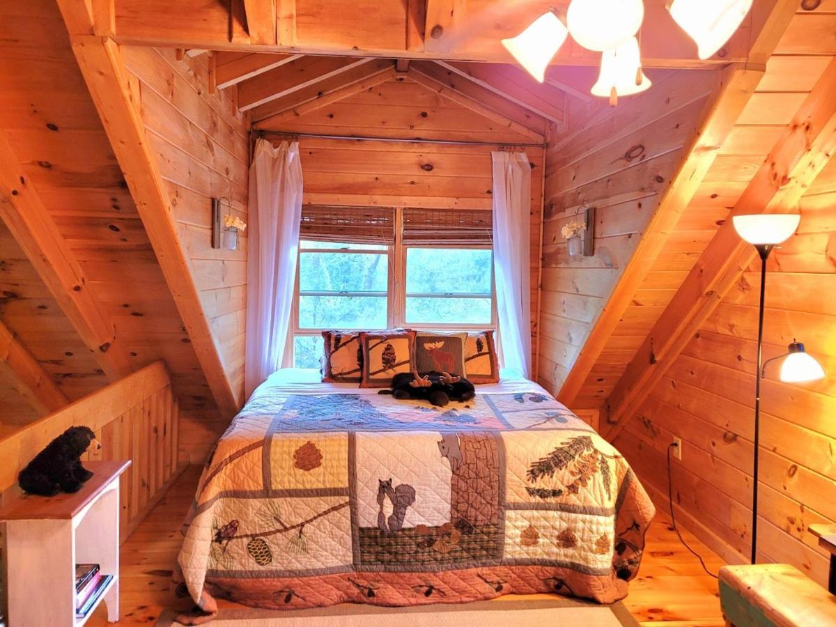 Luxury Cabin With Waterview And Privacy, Hiking Blue Ridge Buitenkant foto