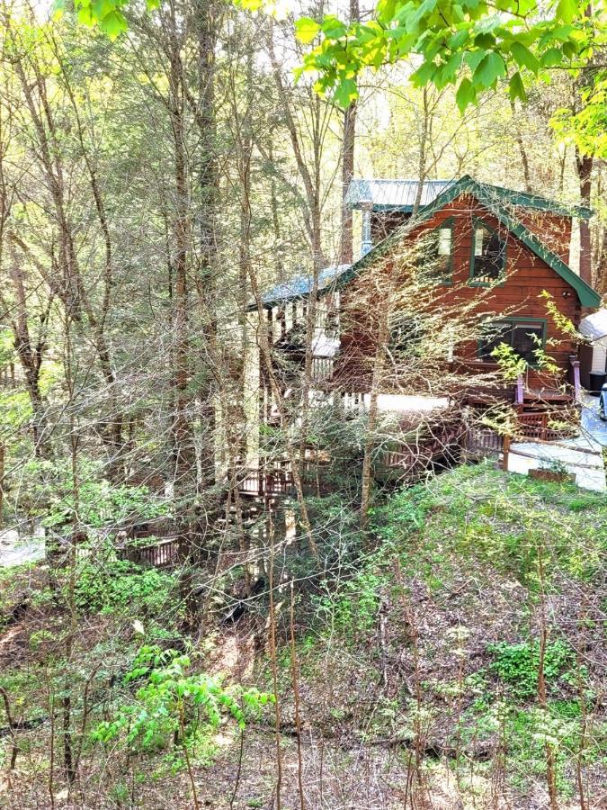 Luxury Cabin With Waterview And Privacy, Hiking Blue Ridge Buitenkant foto